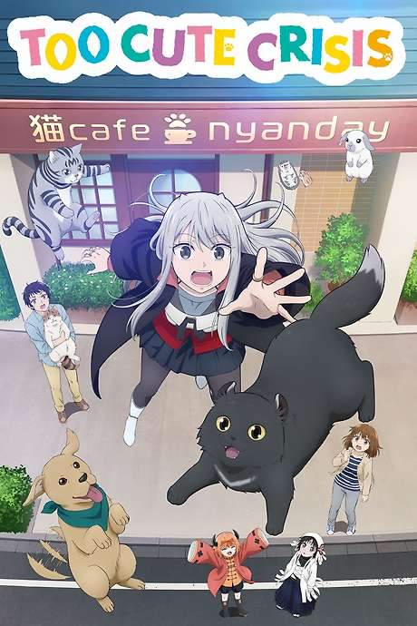 Too Cute Crisis